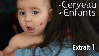 Le Cerveau des Enfants  Extait 01  VOST [upl. by Airetnahs]