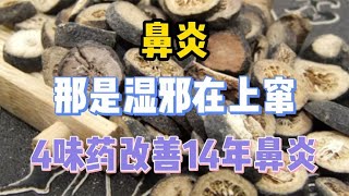 鼻炎，那是湿邪在上窜！4味药改善14年鼻炎 [upl. by Sorrows]