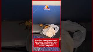 Sujeira em onibus de pernambuco faz passageiros pssar por panico em PE [upl. by Acile29]