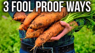 3 Foolproof Methods to Grow Delicious Carrots 🥕 [upl. by Lind]