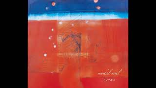 Nujabes  ordinary joe featTerry Callier Official Audio [upl. by Kcirdderf]