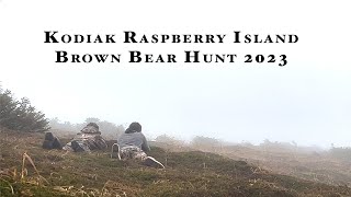 Kodiak Raspberry Island Brown Bear Hunt 2023  Remote Alaska [upl. by Gabor937]