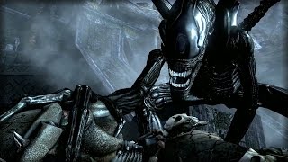 Aliens vs Predator Requiem  Funny Battles HQ [upl. by Poland]