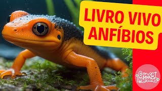 ANFÍBIOS  LIVRO VIVO  CRIANÇAS INTELIGENTES [upl. by Ennyleuqcaj]