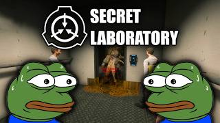 This is Closer to a Sitcom Than a Horror Game  SCP Secret Lab [upl. by Nerad374]