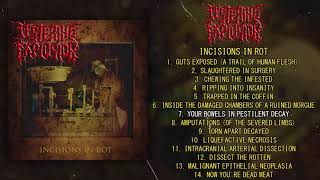 Festering Explosion  Incisions In Rot FULL ALBUM 2021  Goregrind  Death Metal [upl. by Sissy]