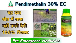 Pendimethalin30EC Complete information Pendimethalinherbicide की संपूर्ण जानकारी [upl. by Eadahc]