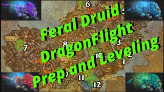 Feral Prep and Leveling in DragonFlight [upl. by Arinayed]