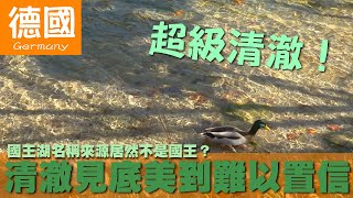 【德國 Germany】國王湖名稱來源居然不是國王？清澈見底美到難以置信｜慕尼黑｜希特勒｜巴伐利亞 [upl. by Nyra]