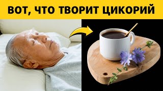 Вот что Творит Цикорий если пить Каждый день [upl. by Mose59]