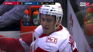 Detroit Red Wings Hits and Fights 20172018 [upl. by Nyrb]