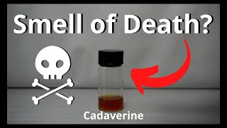 Smell of Death  Cadaverine Cadaverine GiveAway [upl. by Aerb]