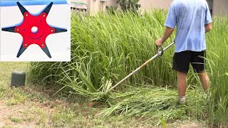 6 blade weed whacker attachment cutting tall grass [upl. by Hannibal]