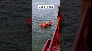 lifeboat launching and maneuvering🌊🚢 sailor merchantnavy shorts [upl. by Haneeja]