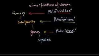 2 Classification of viruses [upl. by Acinorej]