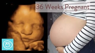 36 weeks pregnancy update  HOW I AM FEELING Im so over being pregnant [upl. by Cornelle852]