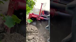 Solis mini tractor solis automobile farming solis26 tarım farmtrac bahçe köy köyhayatı [upl. by Cordi]