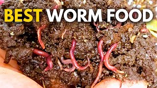 What to Feed Worms Vermicompost Made EASY [upl. by Omocaig]