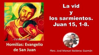 La vid y los sarmientos Juan 15 18 [upl. by Mcadams283]