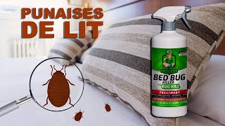 LES PUNAISES DE LIT COMMENT SEN DÉBARRASSER  BED BUG KNOCKER Killers [upl. by Choo]