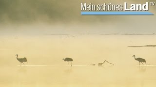 Spätsommer in der Nordheide  die schönsten Höfe Norddeutschlands NDR [upl. by Jayme]