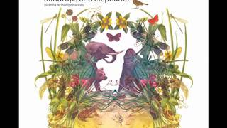 dunkelbunt Raindrops amp Elephants Full Album [upl. by Esylle]