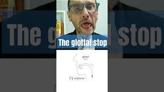 What is the Glottal stop How do you pronounce it english learnenglish gottalstop language [upl. by Kleinstein]