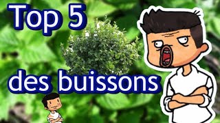 Top 5 des buissons 🌳🍀🌳 oui cest wtf [upl. by Aynek506]