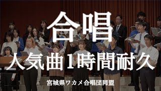 【作業用BGM】合唱人気曲まとめ歌詞付きメドレー1時間耐久定番曲 presented by 全日本ワカメ合唱団同盟 （Meet Up Chorus Fesより） [upl. by Edlyn]