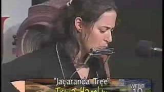 Trina Hamlin  Jacaranda Tree  Words and Music [upl. by Naedan]