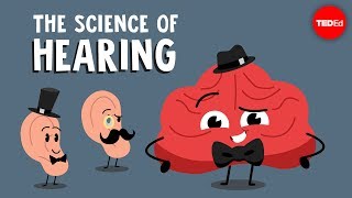 The science of hearing  Douglas L Oliver [upl. by Aisekal224]