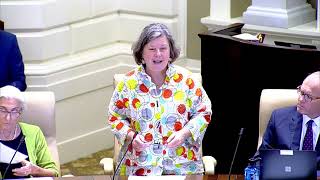 Sen Comerford speaks on the Affordable Homes Act [upl. by Leirraj661]