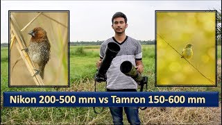 Tamron 150600 mm G1 vs Nikon 200500mm  Part1 Hindi  Wildlife photography Lenses [upl. by Tucky]