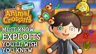 10 Exploits I WISH I Knew Sooner  Animal Crossing New Horizons [upl. by Anilek137]