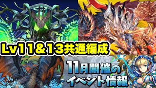 【共通編成】基本ズラすだけ‼️11月クエストダンジョン Lv11 amp 13 クリア編成・立ち回り紹介！！【パズルampドラゴンズパズドラ】 [upl. by Cassella257]