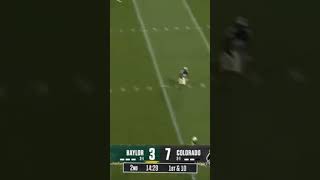 CRAZY DIVING CATCH FOR BAYLOR VS COLORADO collegefootball trending fyp viralshort [upl. by Analram413]