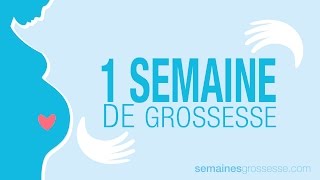 1 semaine de grossesse  Semaine 1 de grossesse  La grossesse semaine par semaine [upl. by Sidnarb]