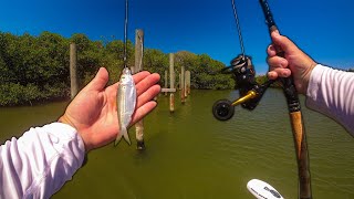 First Time Fishing Live Pilchards from my Gheenoe [upl. by Hackett]