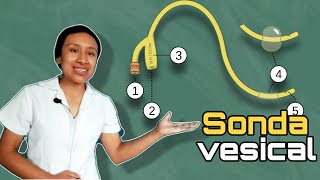 Sonda Foley para cateterismo vesical [upl. by Annawoj201]