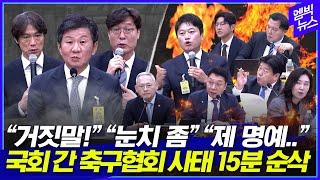 정몽규·홍명보 VS 국회의원 8시간 대혈투 이것만 보시면 됩니다15분 순삭 [upl. by Ennirak]