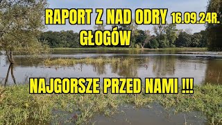 POWÓDŹ w POLSCE RAPORT z NAD ODRY GŁOGÓW i OKOLICE 2024r [upl. by Gannie]