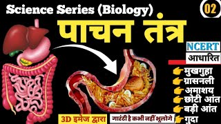 Digestive System  पाचन तंत्र  Pachan tantra  पार्ट2  by Rohit Sir  ncert [upl. by Anehsak]