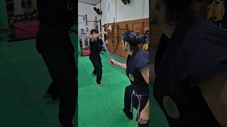 Tsurugi vs Katana 🥷🗡 escoladeninjas ninjutsu ninja kotatsudojo bujinkan [upl. by Gesner]