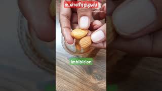 X Science தாவரகடத்தல் உள்ளீர்த்தல் செயல் விளக்கம் Imhibition example science xstd plants botony [upl. by Anawat505]