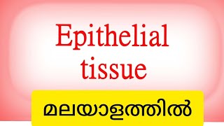 winnersedutalk epithelialtissue tissueclassification [upl. by Aicilef]