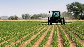 MÉXICO SUPERARÁ 200 MILLONES DE TONELADAS DE PRODUCCIÓN AGRÍCOLA EN 2016 [upl. by Nawat301]