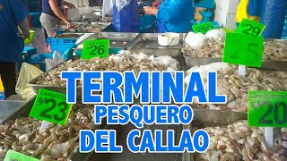 🐟Comprando pescado en EL TERMINAL PESQUERO DEL CALLAO [upl. by Alleynad]