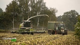 Lohnunternehmen Henke häckselt Mais für eine Biogasanlage in Niedersachsen HD [upl. by Htebazileharas953]