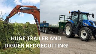 TRACTOR VS DIGGER HEDGECUTTING HUGE TRAILER ON THE T6 [upl. by Olsson591]