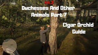 RDR2  Duchesses And Other Animals Part 7  Cigar Orchid Guide [upl. by Aphra]